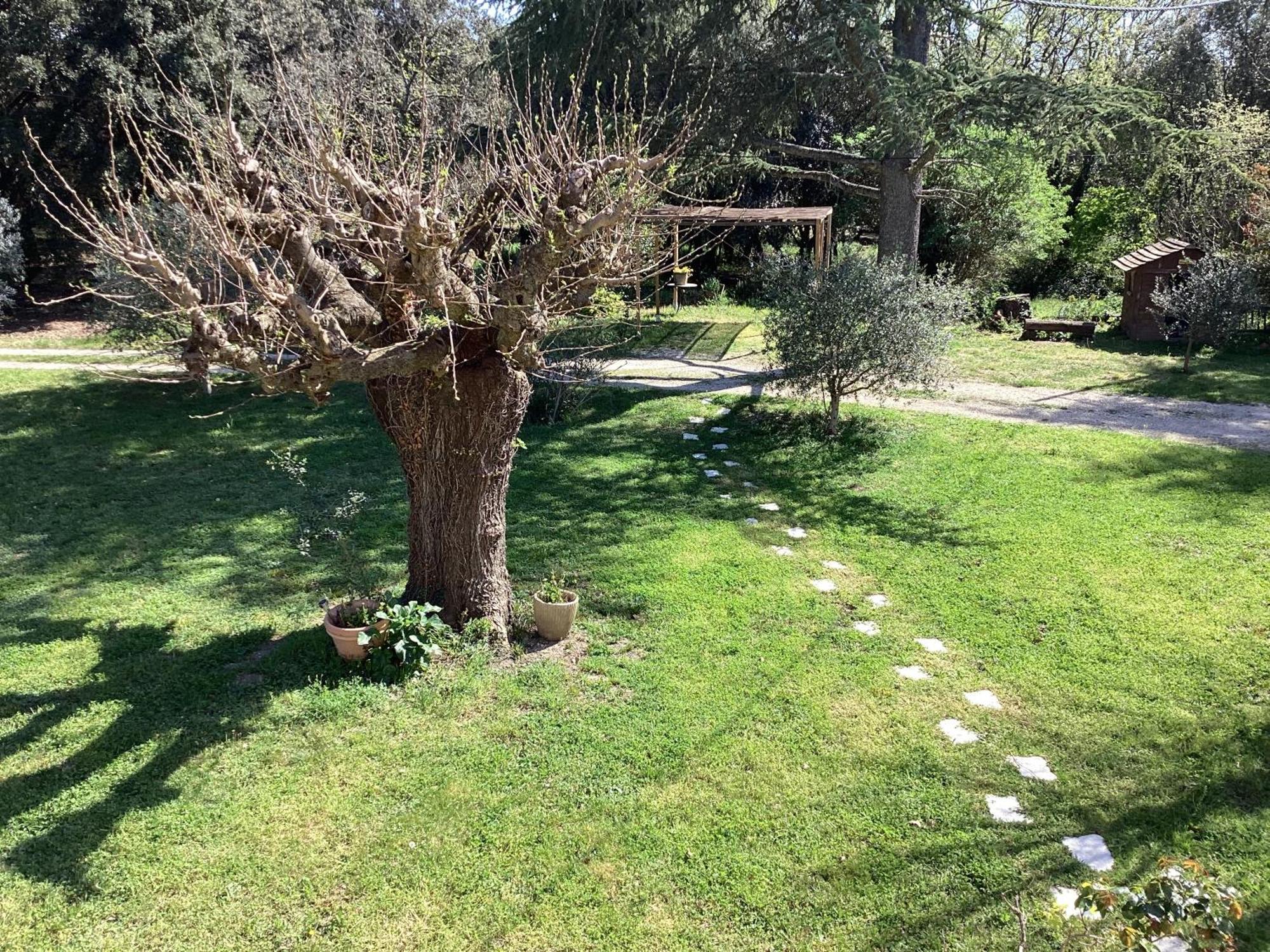 Au Mas Des Chenes Villa La Baume-de-Transit Kültér fotó
